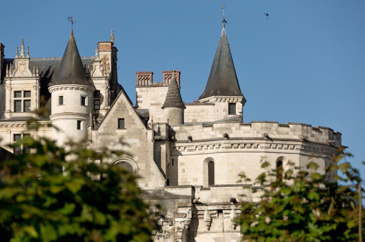 Le Manoir Les Minimes Otel Amboise Dış mekan fotoğraf